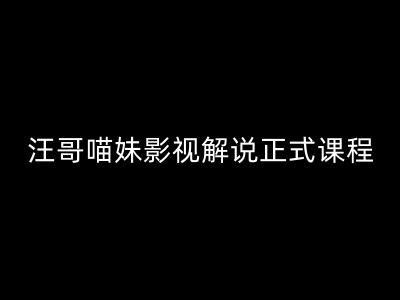 汪哥影视解说正式课程：剪映/PR教学/视解说剪辑5大黄金法则/全流程剪辑7把利器等等-LH资源分享网