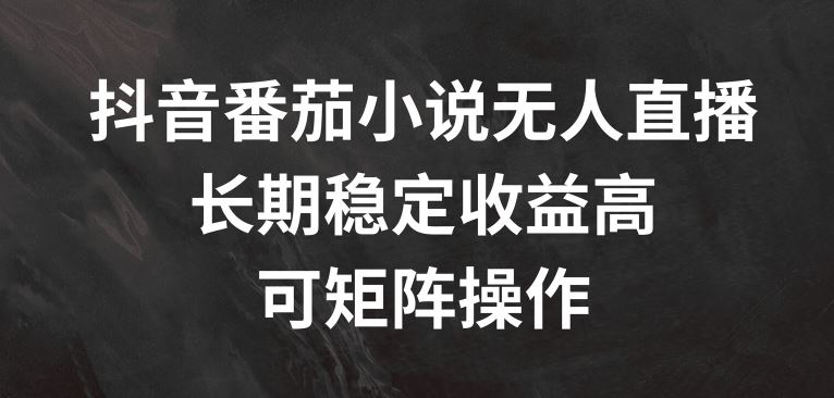 抖音番茄小说无人直播，长期稳定收益高，可矩阵操作【揭秘】-LH资源分享网