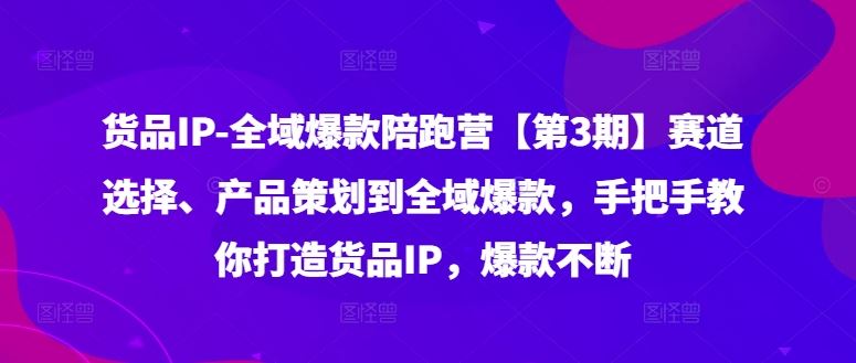 货品IP全域爆款陪跑营【第3期】赛道选择、产品策划到全域爆款，手把手教你打造货品IP，爆款不断-LH资源分享网