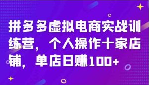 拼多多虚拟电商实战训练营,个人操作十家店铺,单店日赚100+-LH资源分享网