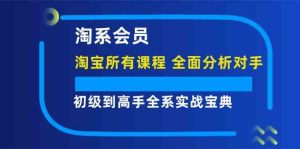 淘系会员初级到高手全系实战宝典【淘宝所有课程,全面分析对手】-LH资源分享网