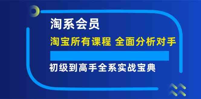 淘系会员初级到高手全系实战宝典【淘宝所有课程，全面分析对手】-LH资源分享网