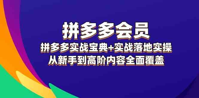 拼多多会员实战宝典+实战落地实操，从新手到高阶内容全面覆盖-LH资源分享网