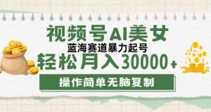 （12087期）视频号AI美女跳舞，轻松月入30000+，蓝海赛道，流量池巨大，起号猛，无…-LH资源分享网