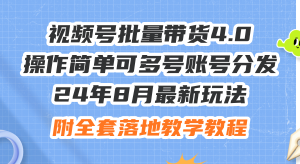 （12093期）24年8月最新玩法视频号批量带货4.0，操作简单可多号账号分发，附全套落…-LH资源分享网