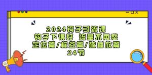 （12097期）2024钩子·引流课：钩子下得好 流量不再愁，定位篇/标签篇/破播放篇/24节-LH资源分享网