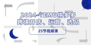 （12106期）2024-TEMU拼多多·跨境开店、运营、选品（25节视频课）-LH资源分享网