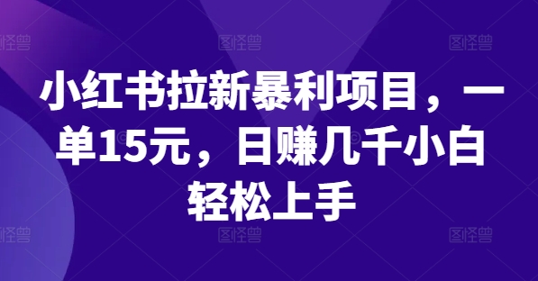 小红书拉新暴利项目，一单15元，日赚几千小白轻松上手-LH资源分享网