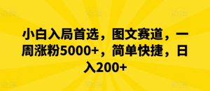 小白入局首选,图文赛道,一周涨粉5000+,简单快捷,日入200+-LH资源分享网