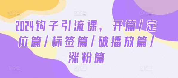 2024钩子引流课，开篇/定位篇/标签篇/破播放篇/涨粉篇-LH资源分享网