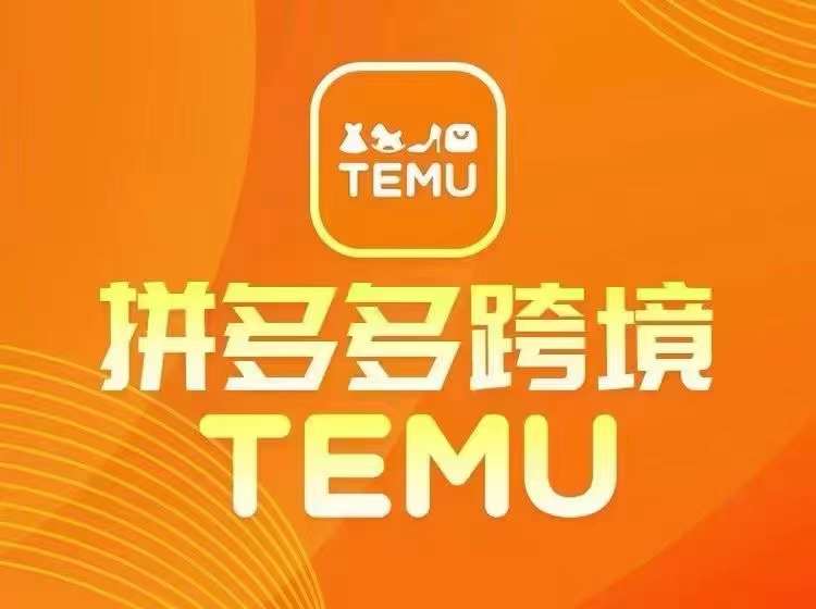 最新TEMU拼多多跨境教程，开店、运营、选品-LH资源分享网