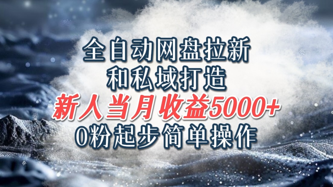 全自动网盘拉新和私域打造，0粉起步简单操作，新人入门当月收益5000以上-LH资源分享网