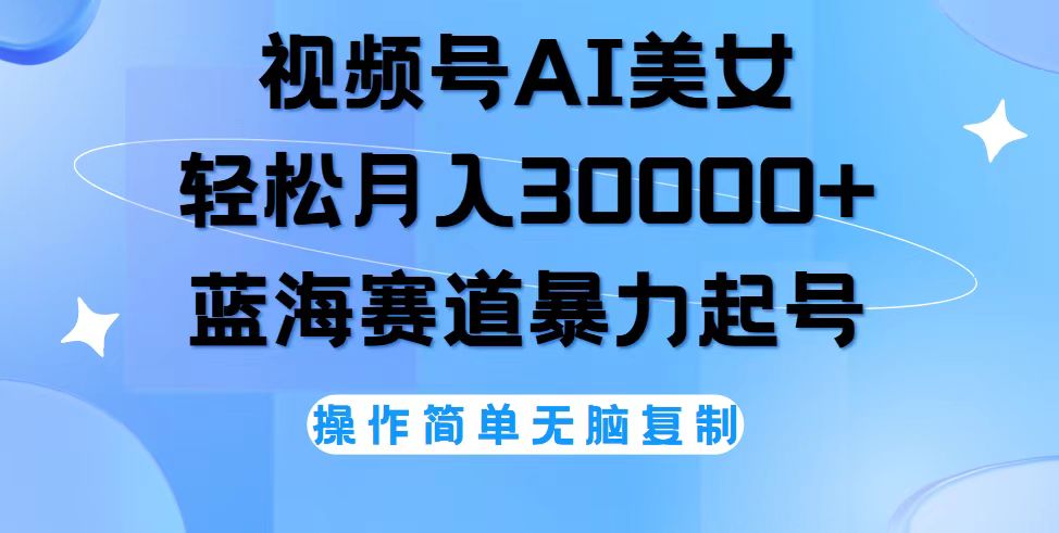 （12125期）视频号AI美女跳舞，轻松月入30000+，蓝海赛道，流量池巨大，起号猛，无…-LH资源分享网