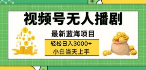 （12128期）视频号无人播剧，轻松日入3000+，最新蓝海项目，拉爆流量收益，多种变…-LH资源分享网