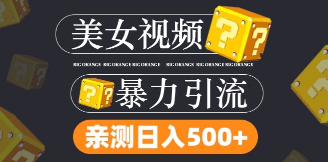 搬运tk美女视频全网分发，日引s粉300+，轻松变现，不限流量不封号-LH资源分享网