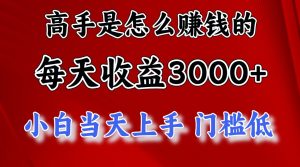 (12144期)1天收益3000+,月收益10万以上,24年8月份爆火项目-LH资源分享网