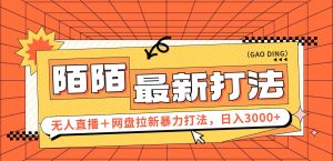 （12148期）日入3000+，陌陌最新无人直播＋网盘拉新打法，落地教程-LH资源分享网