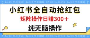 （12151期）最新小红书全自动抢红包，单号一天50＋  矩阵操作日入300＋，纯无脑操作-LH资源分享网