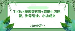 TikTok短视频运营+跨境小店运营，账号引流、小店成交-LH资源分享网