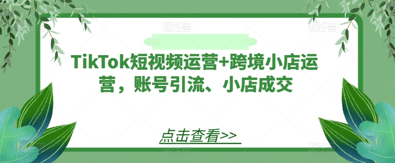 TikTok短视频运营+跨境小店运营，账号引流、小店成交-LH资源分享网
