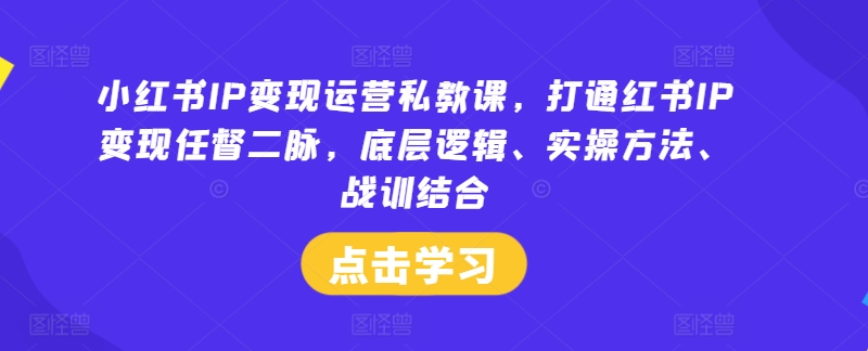小红书IP变现运营私教课，打通红书IP变现任督二脉，底层逻辑、实操方法、战训结合-LH资源分享网