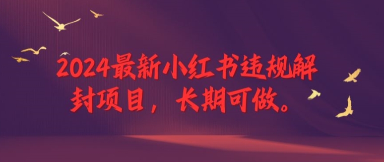 2024最新小红书违规解封项目，长期可做，一个可以做到退休的项目-LH资源分享网