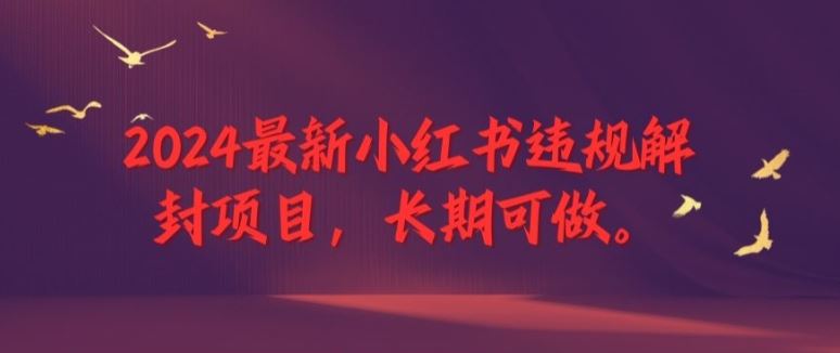 2024最新小红书违规解封项目，长期可做，一个可以做到退休的项目【揭秘】-LH资源分享网