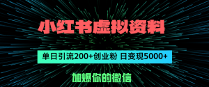 （12164期）小红书虚拟资料日引流200+创业粉，单日变现5000+-LH资源分享网
