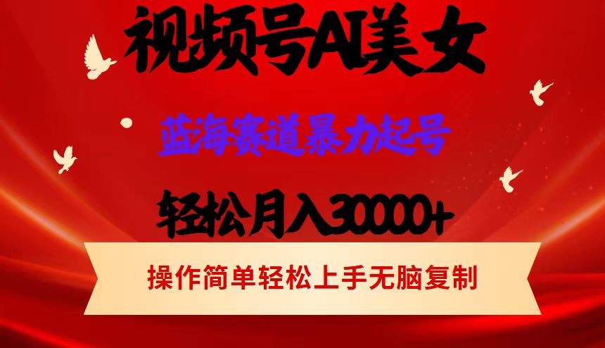 （12178期）视频号AI美女跳舞，轻松月入30000+，蓝海赛道，流量池巨大，起号猛，当…-LH资源分享网