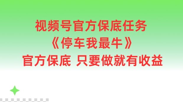 视频号官方保底任务，停车我最牛，官方保底只要做就有收益【揭秘】-LH资源分享网
