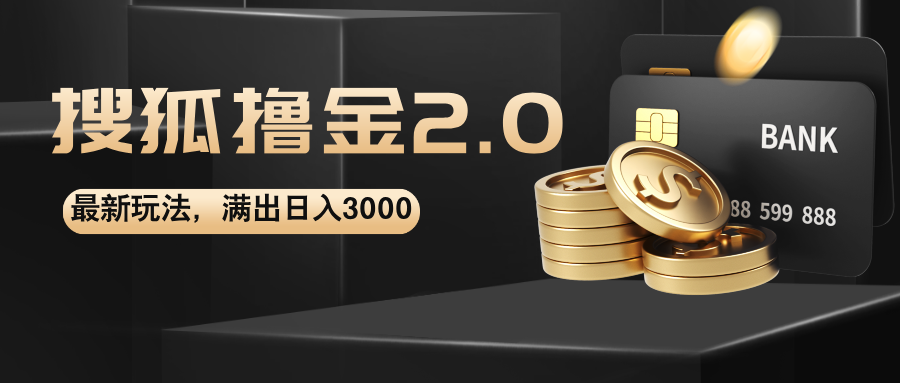 （12212期）搜狐撸金2.0最新玩法，无脑日入3000+，可无限扩大-LH资源分享网