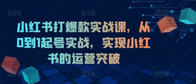 小红书打爆款实战课，从0到1起号实战，实现小红书的运营突破-LH资源分享网