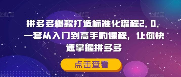 拼多多爆款打造标准化流程2.0，一套从入门到高手的课程，让你快速掌握拼多多-LH资源分享网