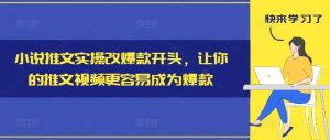 小说推文实操改爆款开头,让你的推文视频更容易成为爆款-LH资源分享网