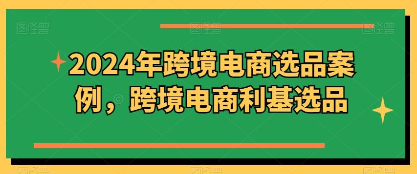 2024年跨境电商选品案例，跨境电商利基选品（更新）-LH资源分享网