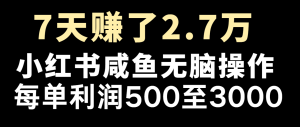 七天赚了2.7万!每单利润最少500+,轻松月入5万+小白有手就行-LH资源分享网