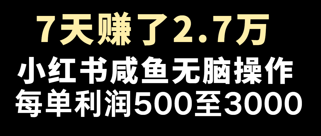 七天赚了2.7万！每单利润最少500+，轻松月入5万+小白有手就行-LH资源分享网
