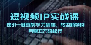 短视频IP实战课，独创一键复制学习秘籍，转战新领域，月赚五万轻松行-LH资源分享网