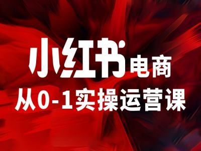 小红书电商从0-1实操运营课，让你从小白到精英-LH资源分享网