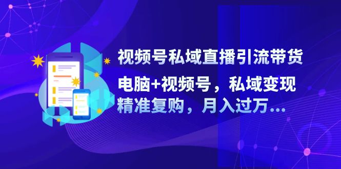 （12249期）视频号私域直播引流带货：电脑+视频号，私域变现，精准复购，月入过万…-LH资源分享网