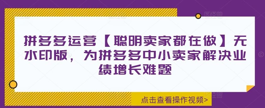 拼多多运营【聪明卖家都在做】无水印版，为拼多多中小卖家解决业绩增长难题-LH资源分享网