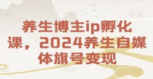 养生博主ip孵化课，2024养生自媒体旗号变现-LH资源分享网