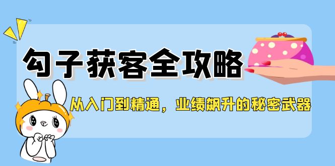 从入门到精通，勾子获客全攻略，业绩飙升的秘密武器-LH资源分享网