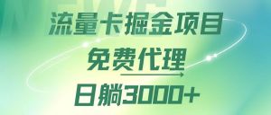 （12321期）流量卡掘金代理，日躺赚3000+，变现暴力，多种推广途径-LH资源分享网