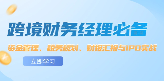 （12323期）跨境 财务经理必备：资金管理、税务规划、财报汇报与IPO实战-LH资源分享网