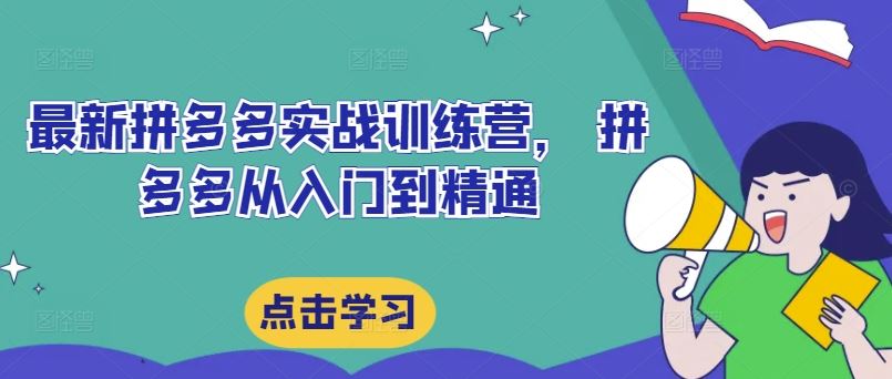 最新拼多多实战训练营， 拼多多从入门到精通-LH资源分享网