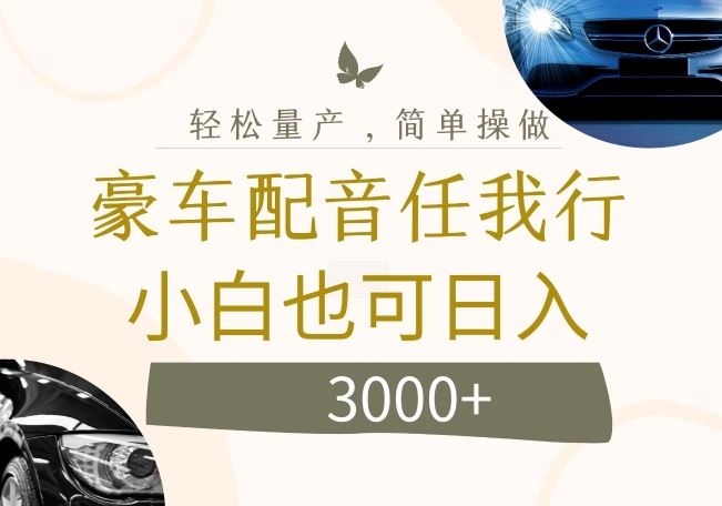不为人知的暴力小项目，豪车配音，日入几张【揭秘】-LH资源分享网