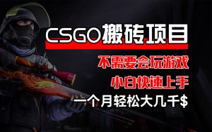 （12332期）CSGO 装备搬砖项目，操作简单，不需要会玩游戏，小白也能快速上手，一…-LH资源分享网