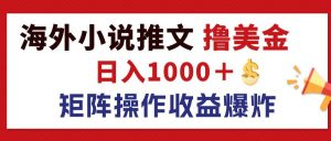 (12333期)最新海外小说推文撸美金,日入1000+ 蓝海市场,矩阵放大收益爆炸-LH资源分享网
