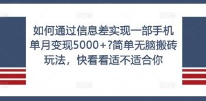 如何通过信息差实现一部手机单月变现5000+?简单无脑搬砖玩法,快看看适不适合你【揭秘】-LH资源分享网